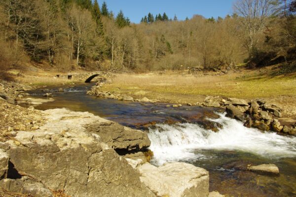 Lac des Saints-Peyres