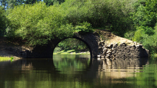 Lac des Saints-Peyres