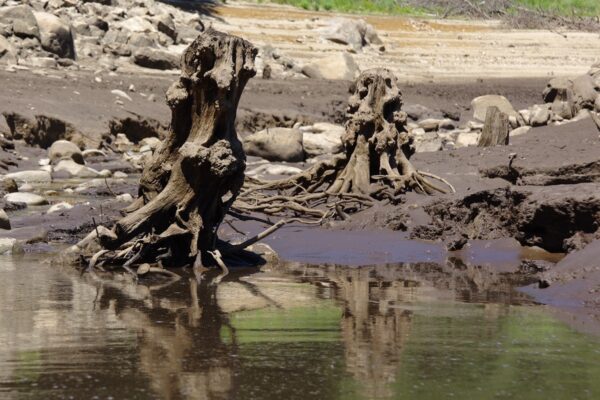 Lac des Saints-Peyres