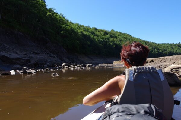 Lac des Saints-Peyres