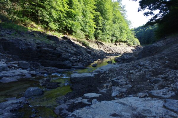 Lac des Saints-Peyres