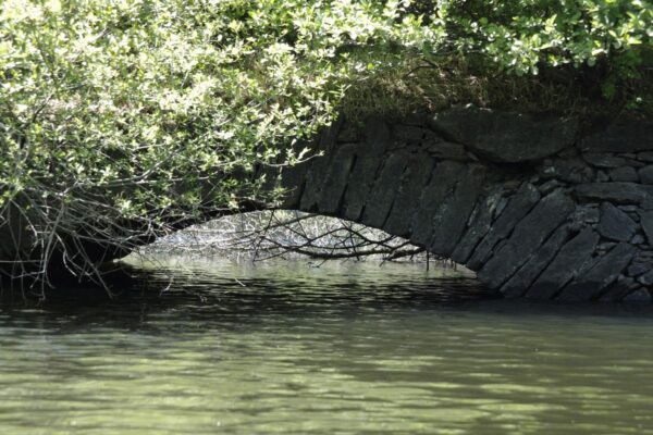 Lac des Saints-Peyres