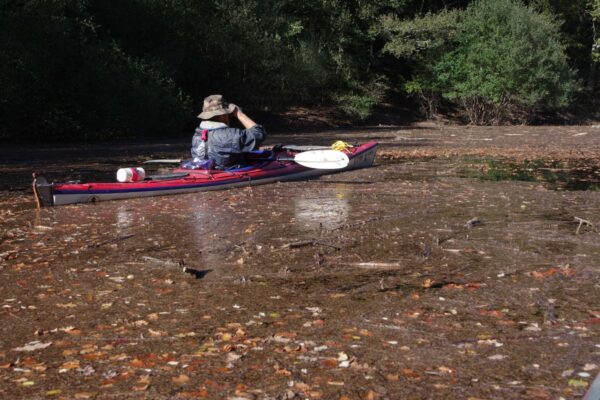 Lac des Saints-Peyres