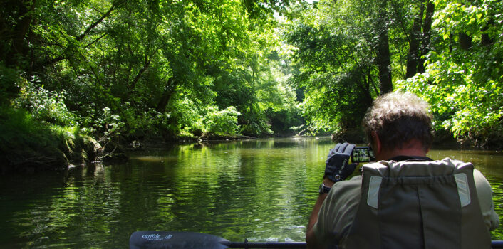 Sortie n°18 – Samedi 7 juin 2014Prospection Hérons pourprés sur le Dadou et l&rsquo;Agout