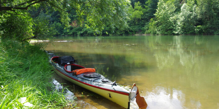 Sortie n°19 – Vendredi 13 juin 2014Oiseaux, libellules, castors et loutres sur le Tarn…